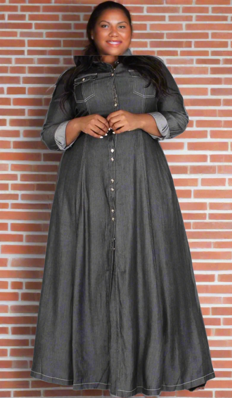 The Wind Blocker Dress Plus Size